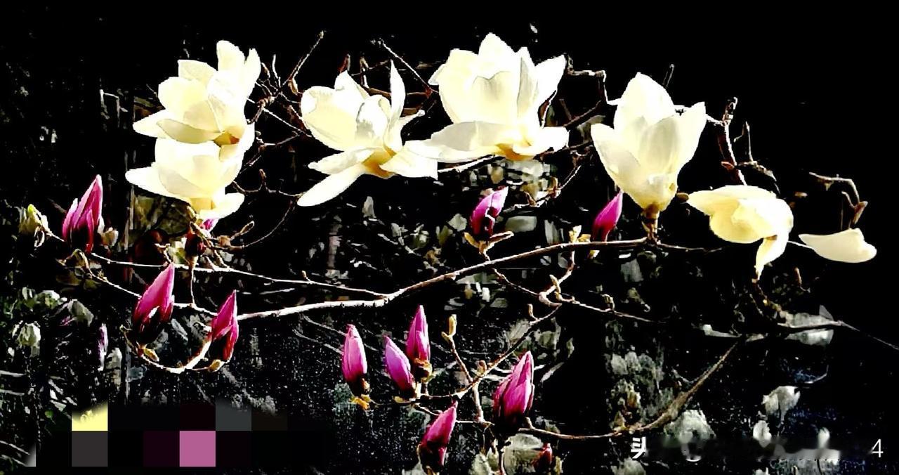 这是从小就听老辈人说的话，道尽世态炎凉、人情冷暖。讽刺趋炎附势，嫌贫爱富。更是一