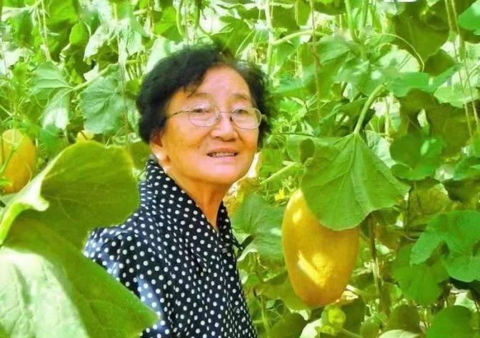 “瓜可以吃，瓜籽不能丢！”1984年，有位领导到新疆鄯善视察，觉得瓜味道不错就带