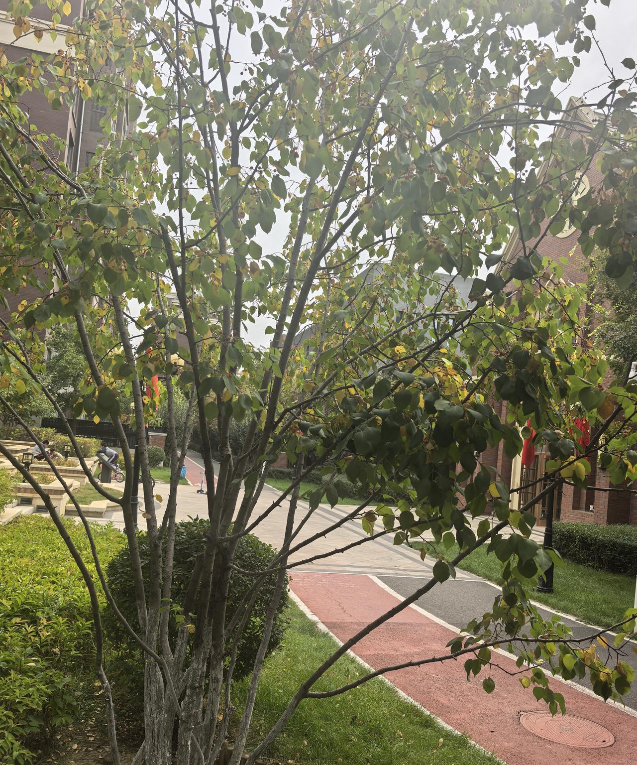 从今天开始，带孙子的接力棒就递到了我和老公的手里。儿子结婚的时候