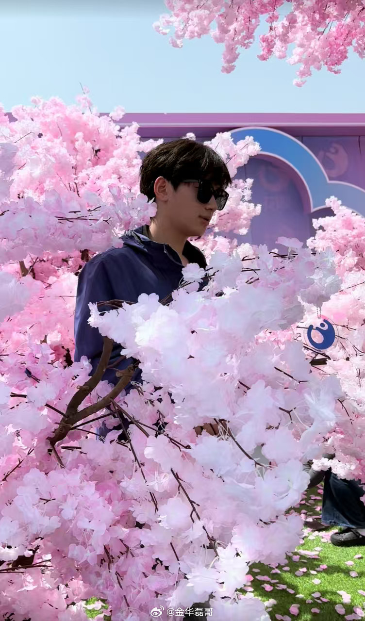 在武汉遇到讨好型音乐节了以前去音乐节库库吃土，这次去音乐节咔咔出片！连樱花树都搬