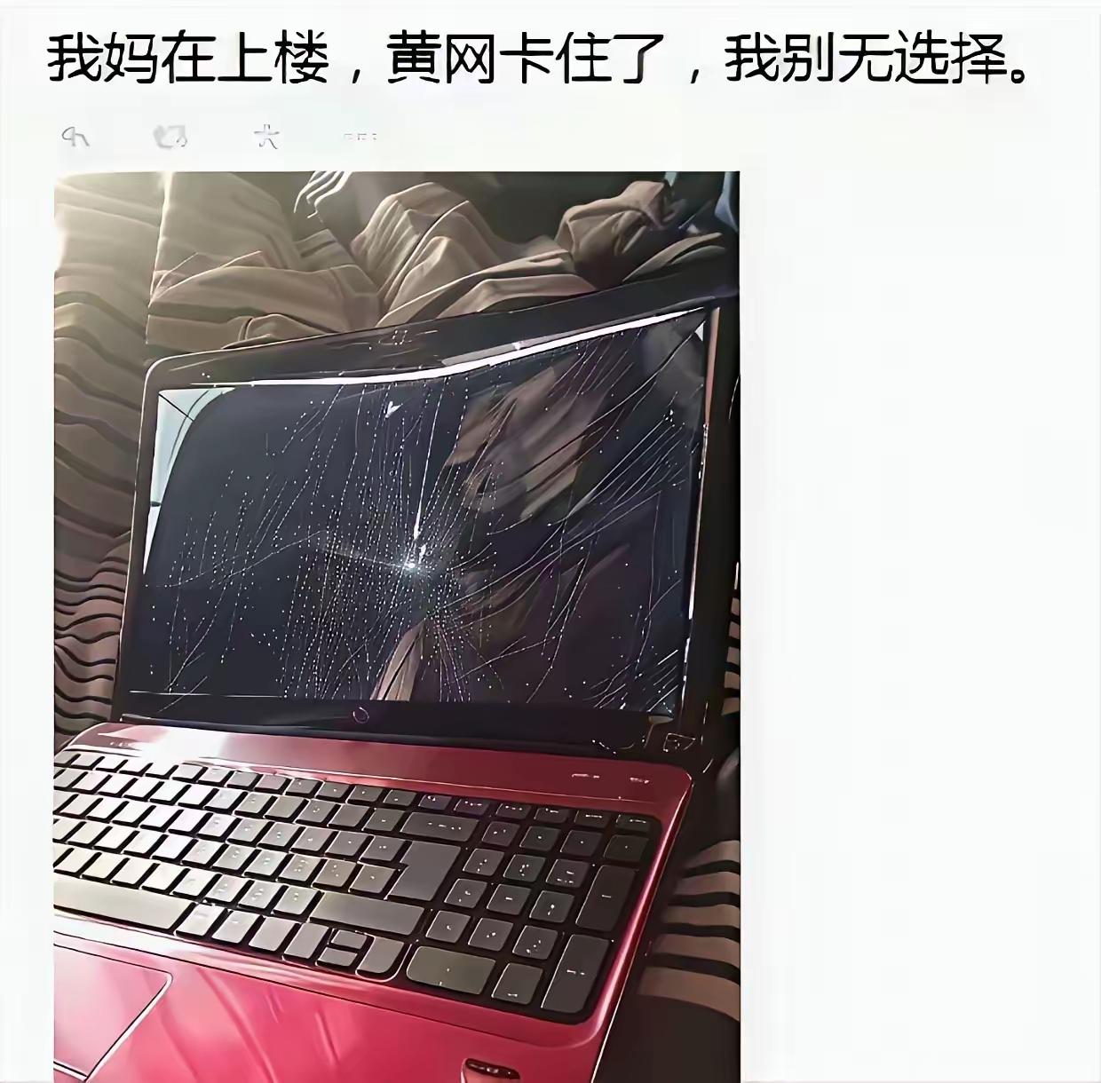 好家伙，这也是个狠人[笑着哭]