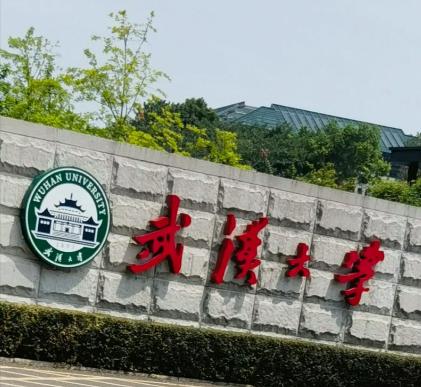 武大终于动手了武汉大学最近撤销了一个博士的学位。论文查重系统报警，人工