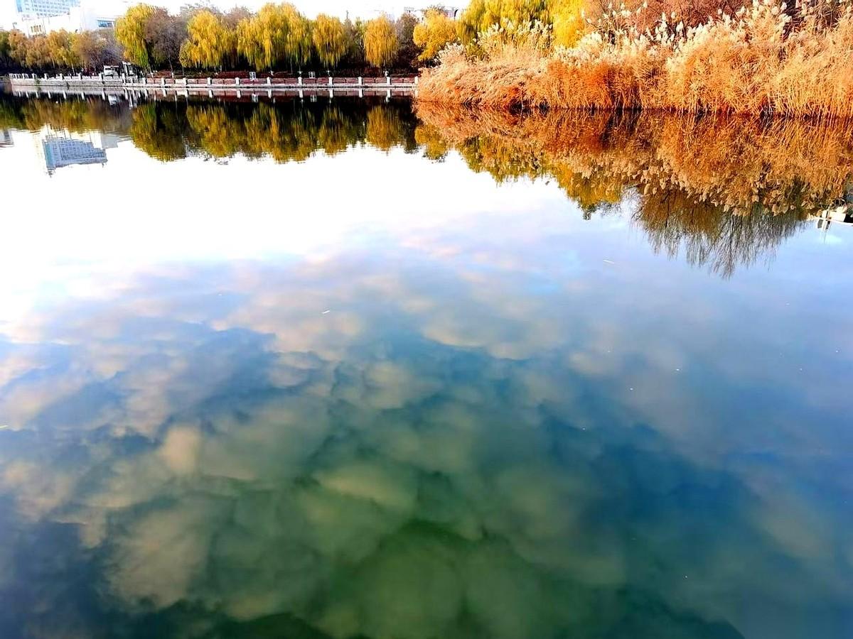 手机一亮，推送说明天乌鲁木齐要下大暴雪。11月4号。我伸头看了看窗外，天还挺