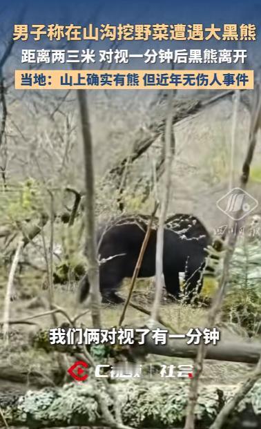 “吓懵了！”四川理县，一名男子进山挖野菜，远远瞅见个大家伙趴在那儿，第一眼竟当