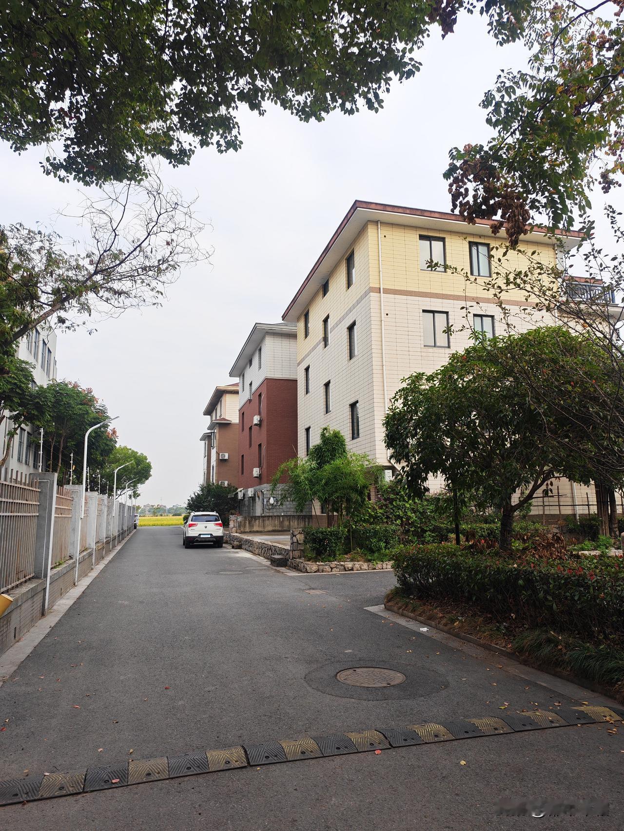 在学校对面租了一幢别墅的一间房，是一幢市郊别墅的一楼。每月750元，被子、洗脸洗