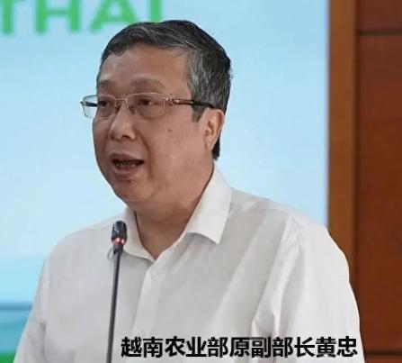 越南榴莲这回真捅了大篓子，连农业部副部长都栽进去了。我关注中越农产品贸易好几