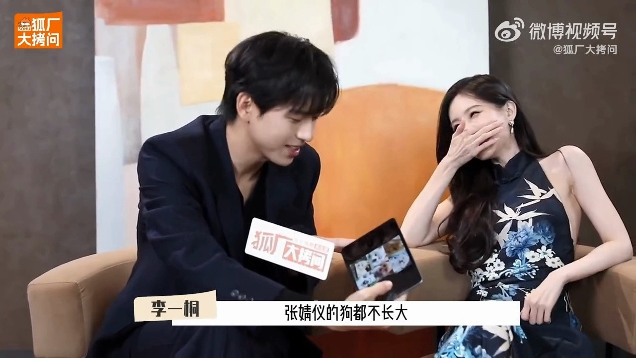 哈哈哈哈哈李现一下子就认出了张婧仪的狗建设一下我们《雾里青》​​​