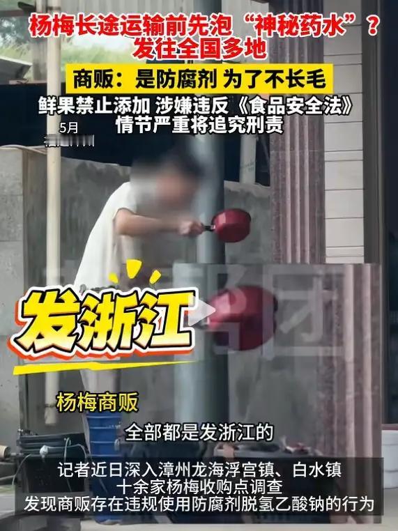 吃杨梅要注意了，杨梅产地有奸商用药水浸泡果实，并坦言“我们自己都不吃”。泡过药水