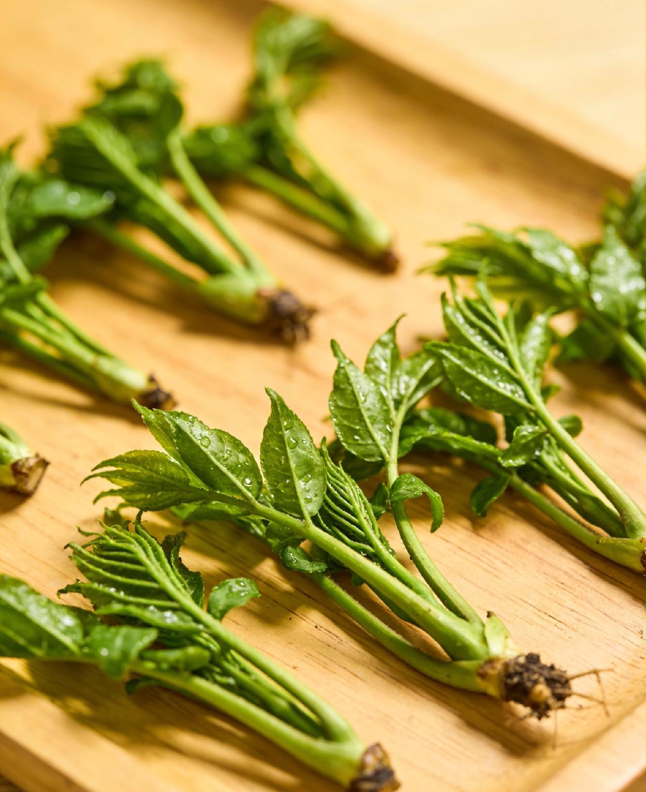 刘志军种野菜，效益丰厚，方法简单普通农民想增收，何必死守老