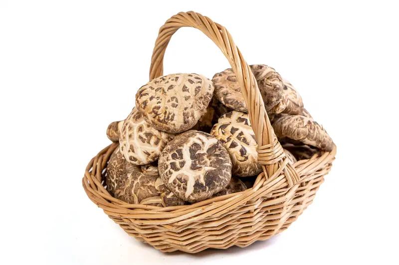 深秋进补正是好时候！选对这4碗汤，整个冬天少生病！老中医悄悄跟我说，现在喝