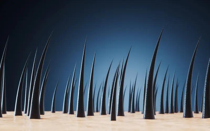 “没有心眼，特别直的人，好吗”这话题争议可大了。有人觉得心直口快真诚，值得深交；