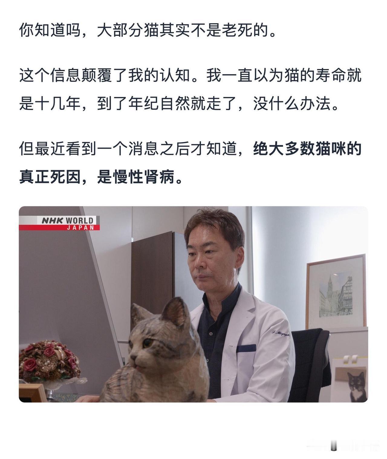 你知道吗？猫的寿命或将翻倍了！今天刷到个猫咪相关的研究，看完心里又暖又酸，养猫