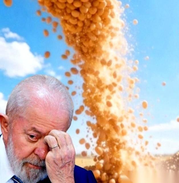 巴西那边豆子泡了水，价格就上了天。听说豆商们把800万吨的单子攥在手里，觉得这