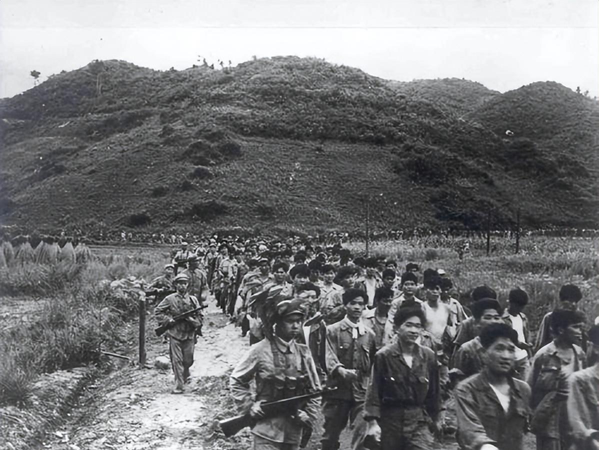 是时候说出真相了！1958年志愿军撤出朝鲜，到底是不是金日成的意愿？1953年