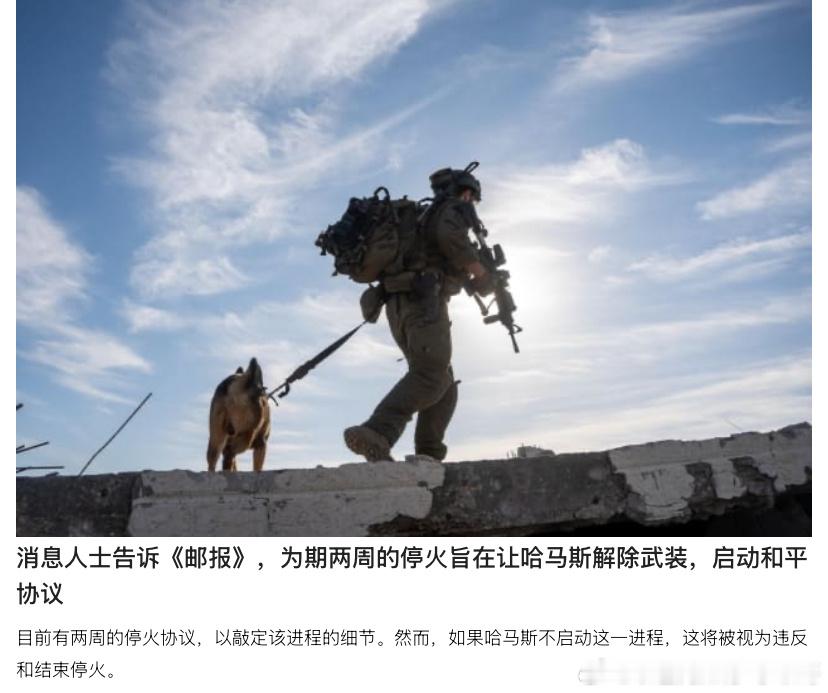 加沙以军停火两周给哈马斯搜集武器上缴，如果哈马斯不配合，以色列会重新开火。哈马斯