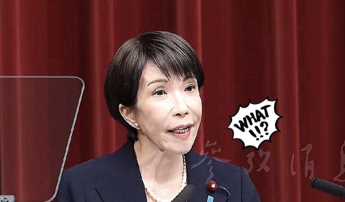 高市早苗在记者会上的发言掷地有声，她直言不讳地说：“日本急需稀土资源。只有拥有美