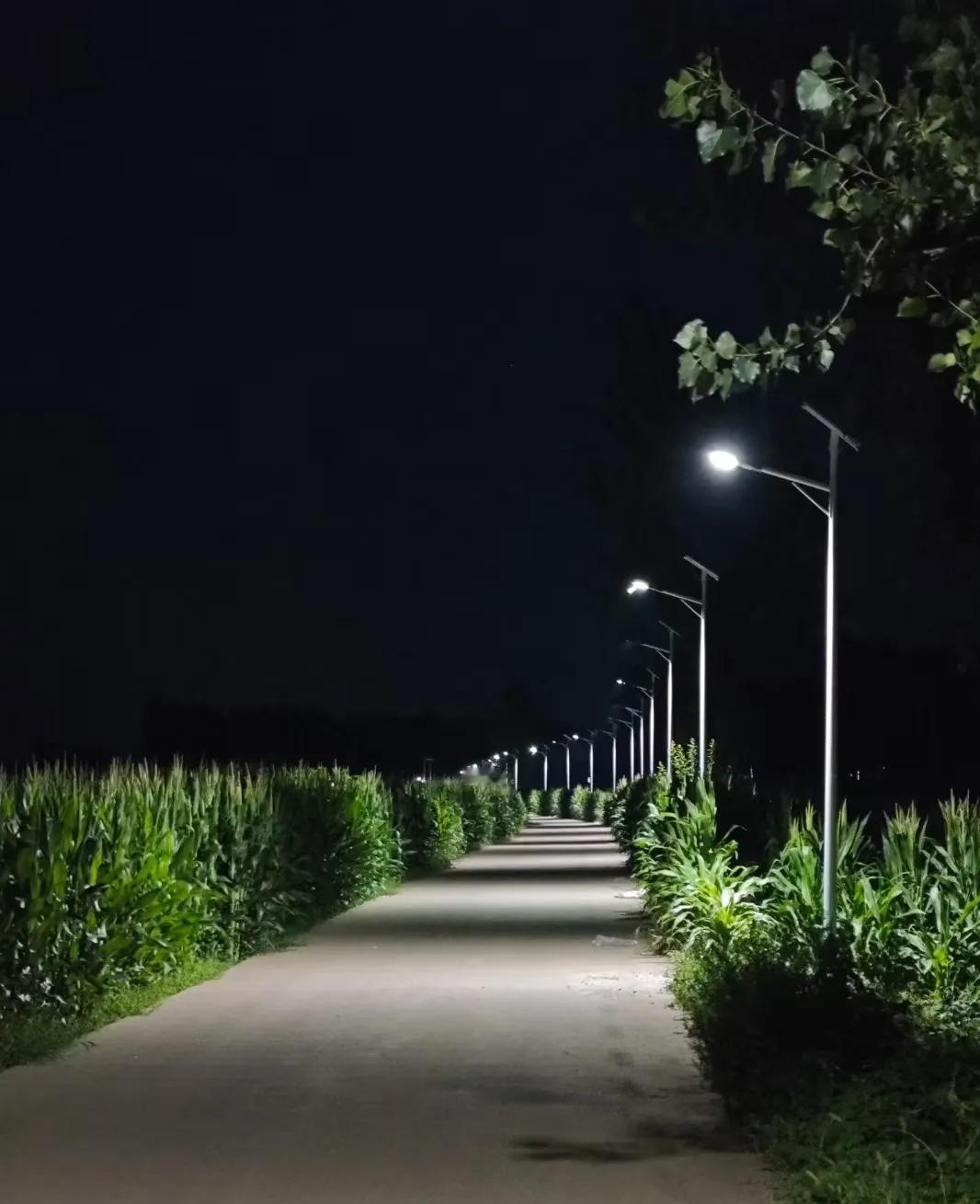 惊掉下巴！电诈分子竟坦言：那些错字连篇的短信、口音奇怪的诈骗电话，全是故意