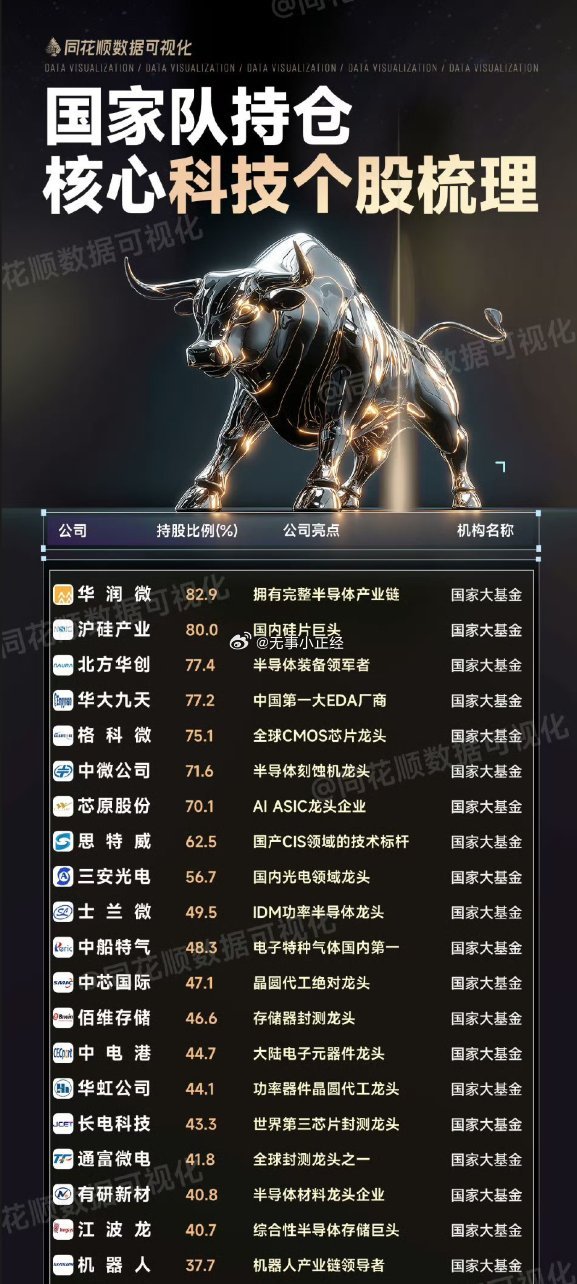 A股国家队持仓的核心科技股​​​