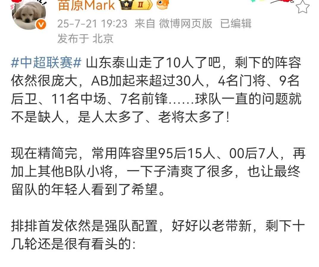 媒体人苗原也认为山东泰山的人太多了，尤其是老将太多了。一线队及泰山B队加