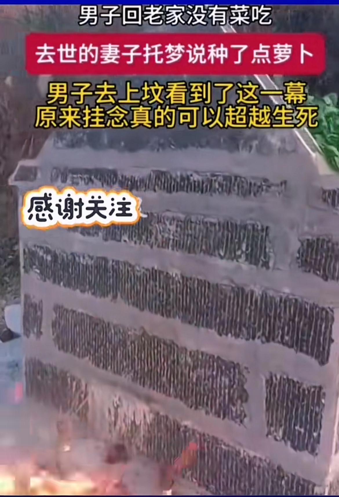 家人们，看到“男子上坟发现妻子托梦种的萝卜”这个事儿，我真起了一身鸡皮疙瘩。男子