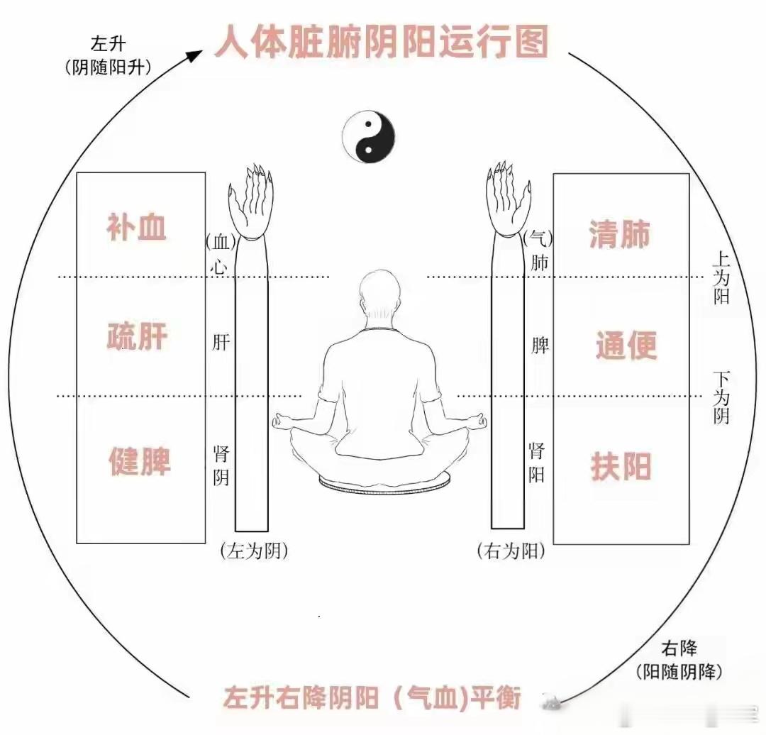 升降生四象出入生三才！一、升降生四象：内部时空的节律与结构“四象”（少阳、太