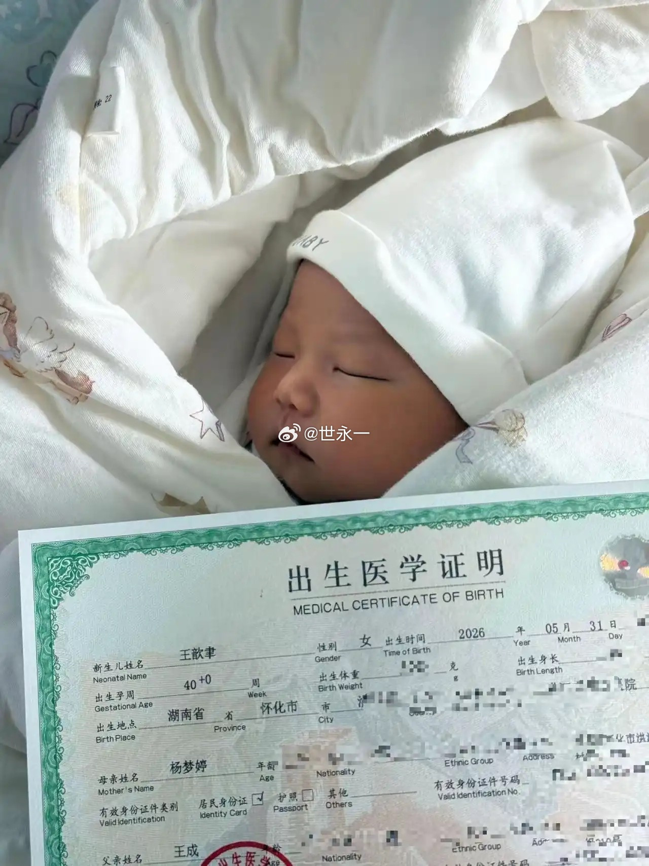 爸爸妈妈为你避开了所有网红名字