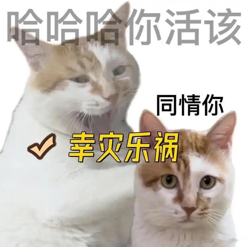 L女士正在幸灾乐祸