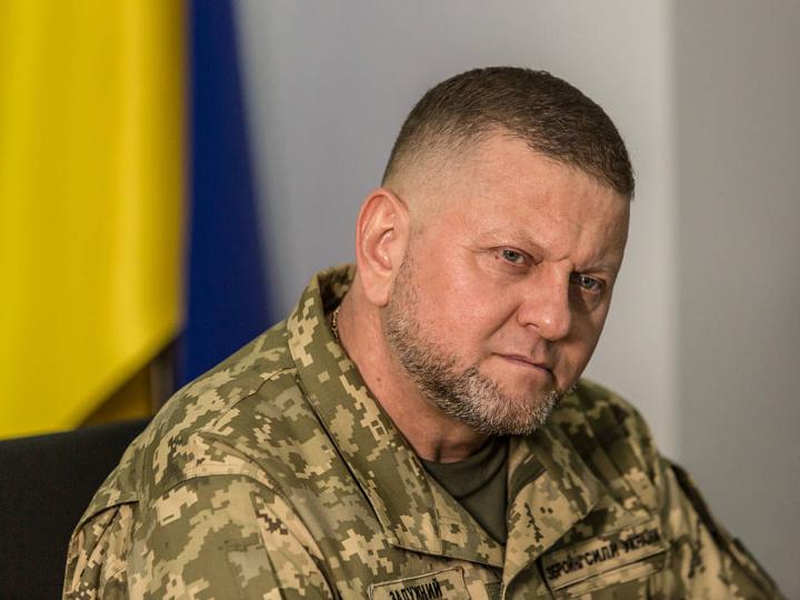 乌军前总司令扎卢日内亲口证实，2023年的大反攻失败主要原因是泽连斯基干扰指挥，