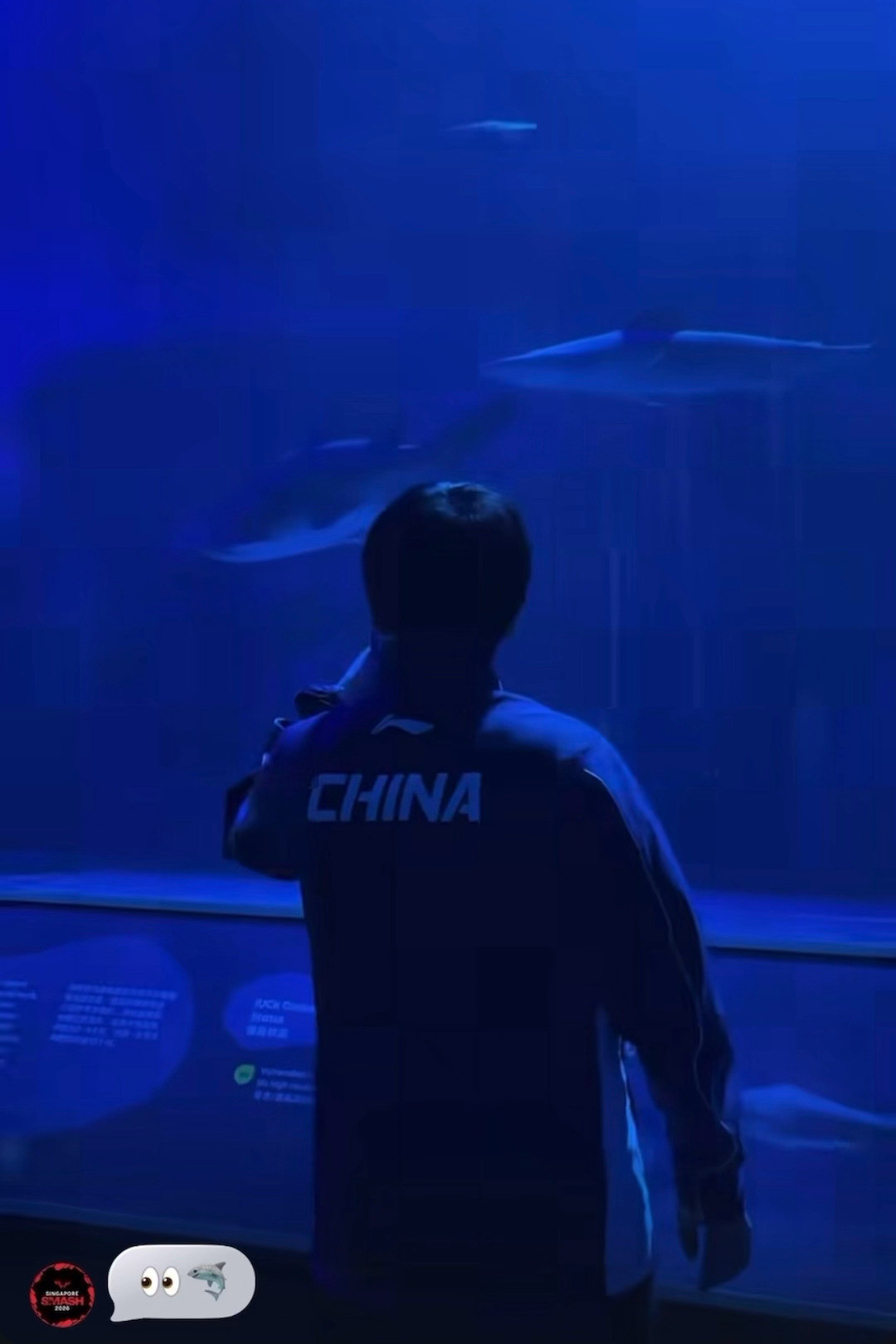 小脆鲨世萌一🦈“这个大鲨鱼”“那个游的有点慢”“吐泡～你能呵”