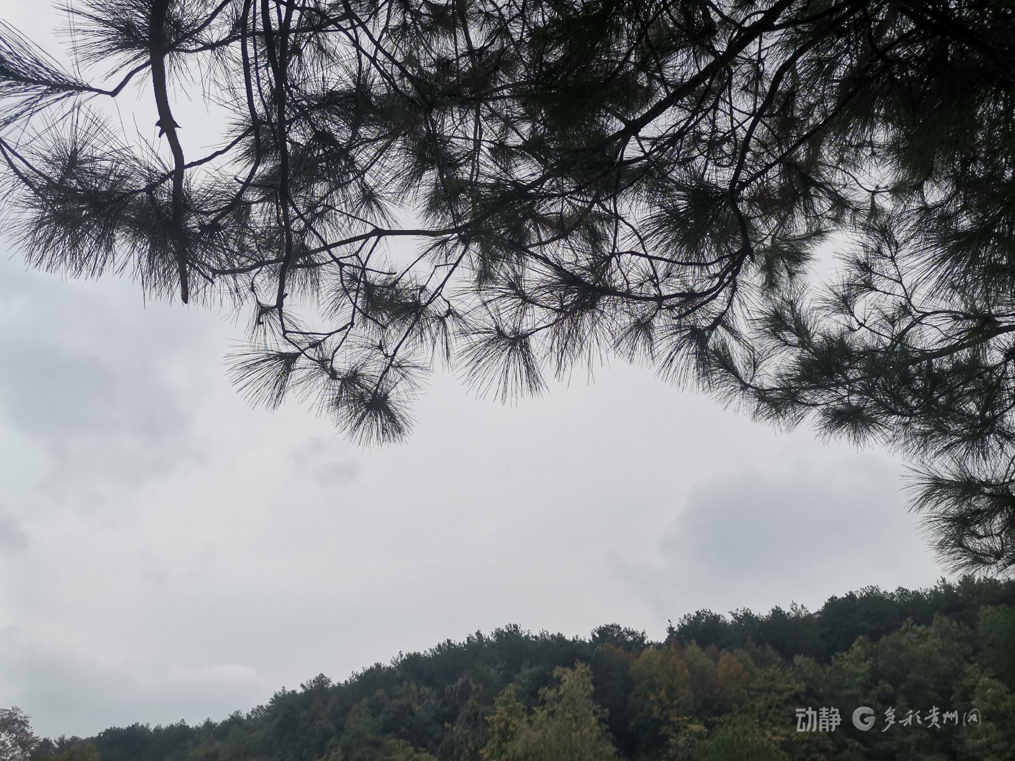 贵阳今晚开始迎寒潮, 周日午后“暖洋洋”