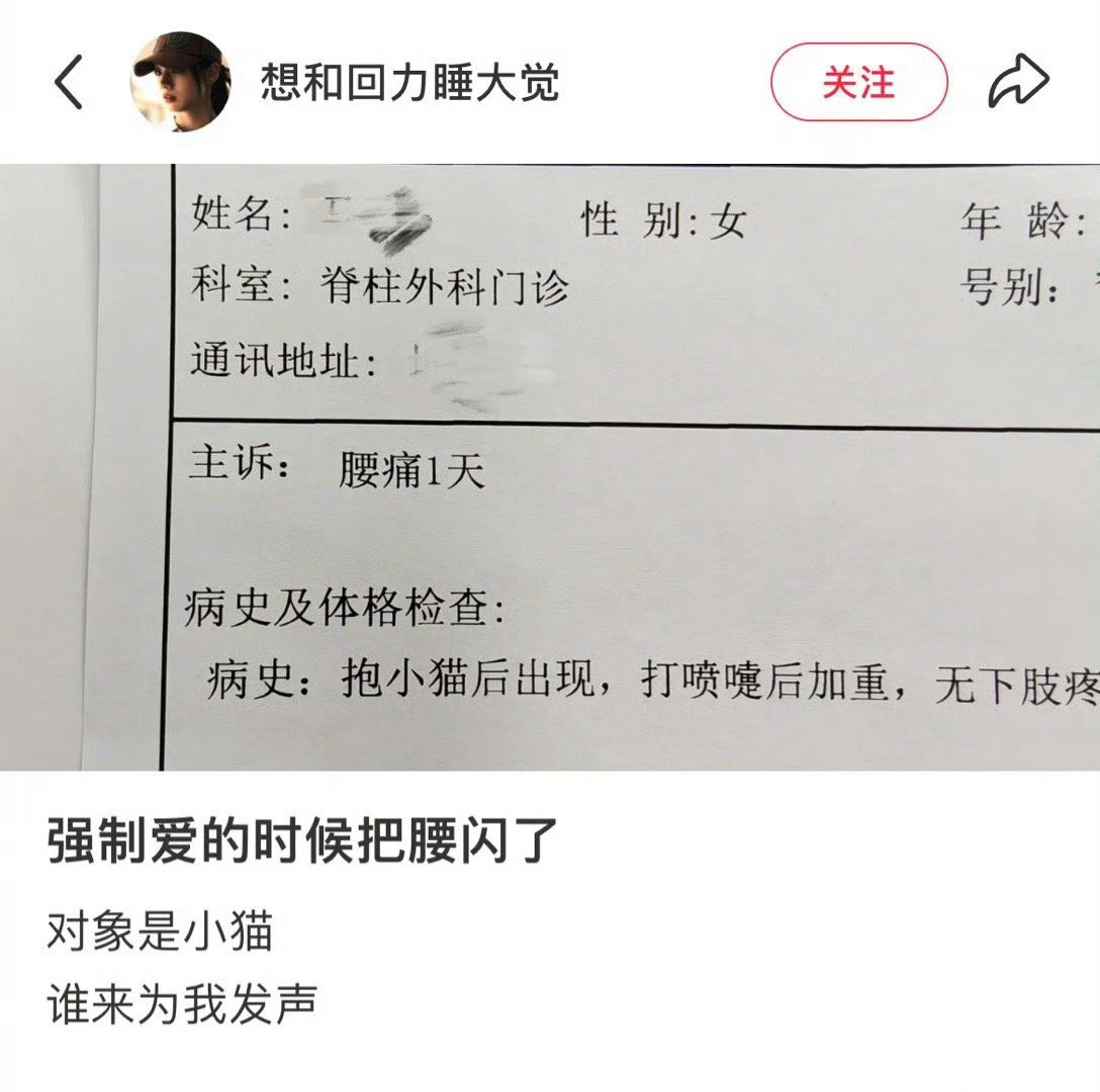抱小猫闪到腰医生好严谨​​​