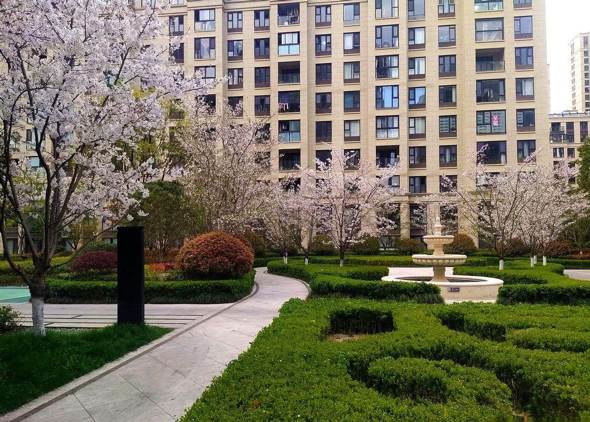 七万块一天还两千,这哪是借钱,是卖命。24%的利息,小老板赚的还不够给银行交保