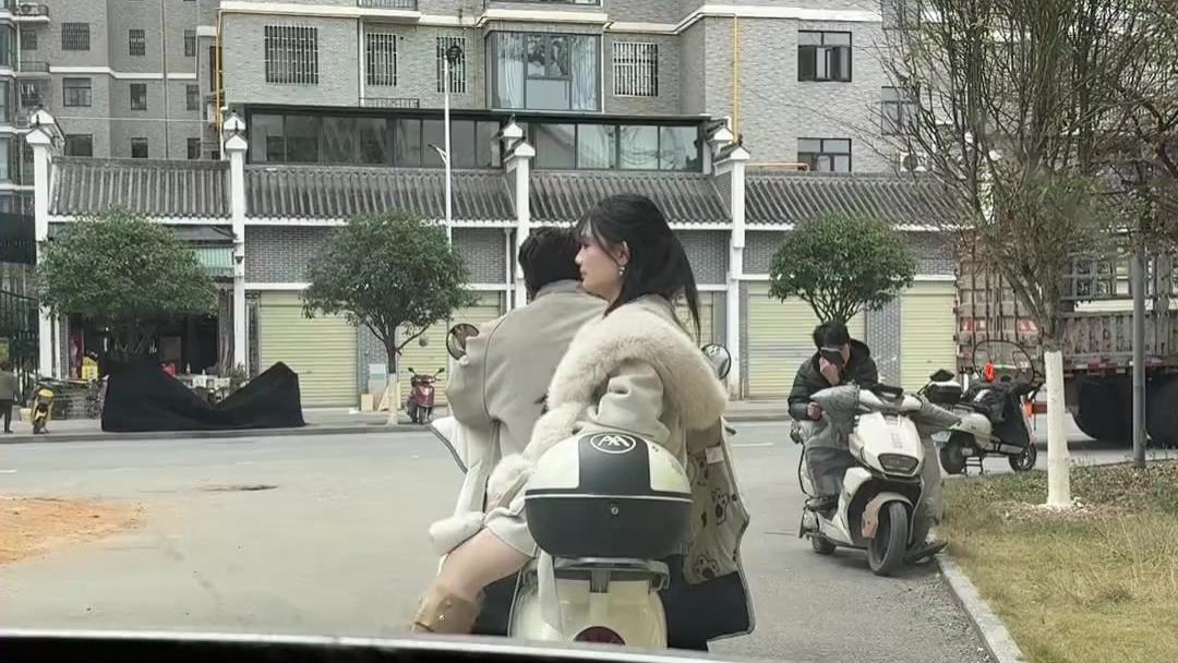 萌宠趣事：我家猪拱了邻居家的白菜