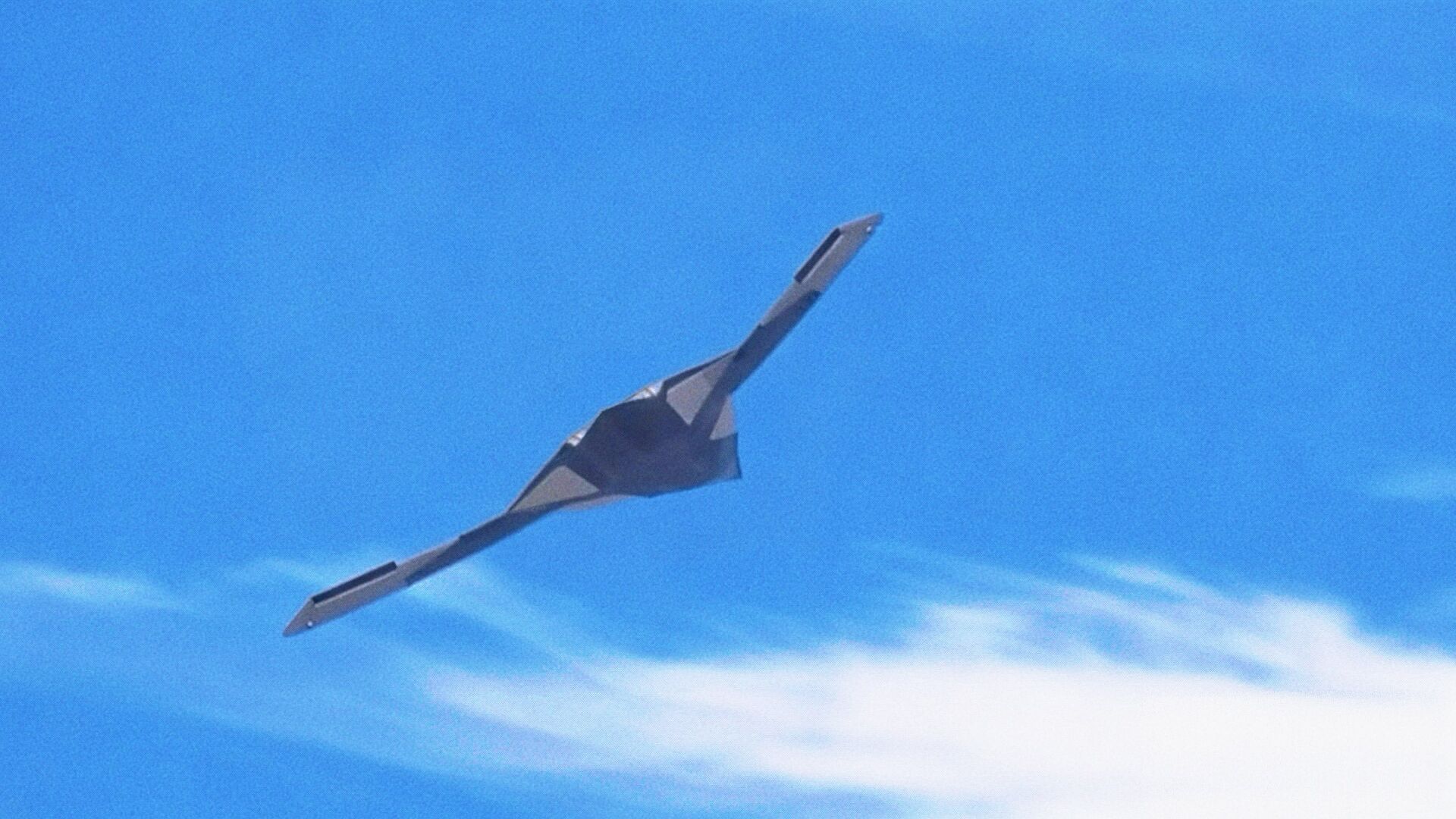 百花齐放！[墨镜]图源网络烽火问鼎计划​​​