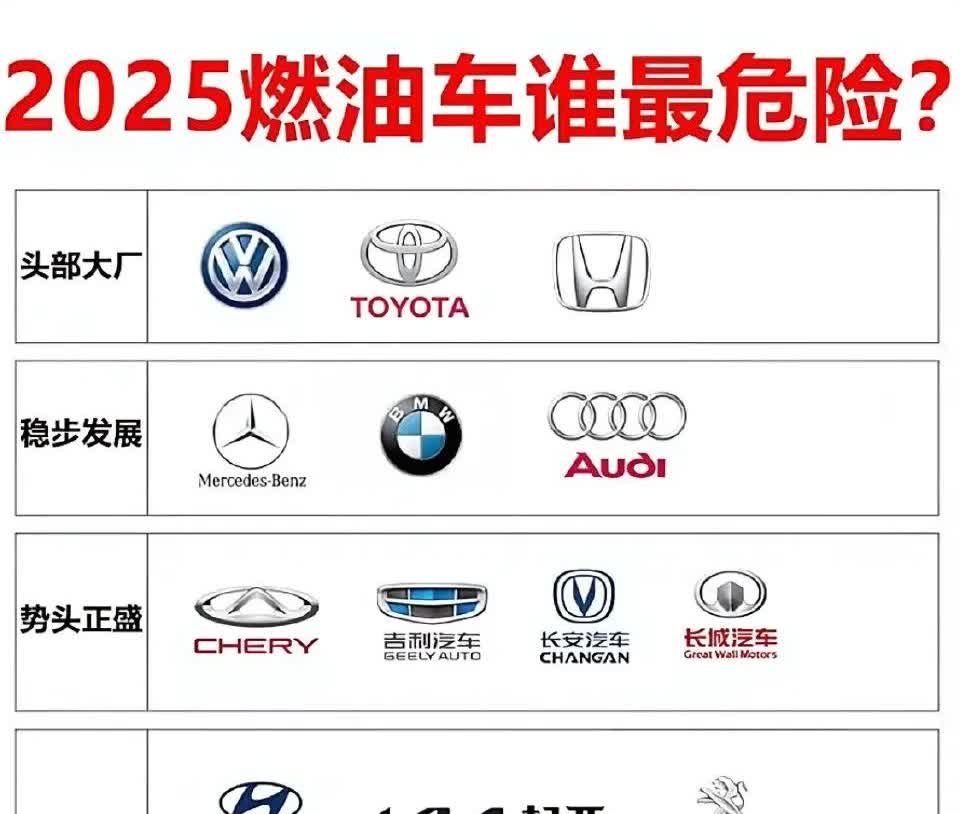 网友：2025年燃油车市场谁最危险？买车要注意了！​