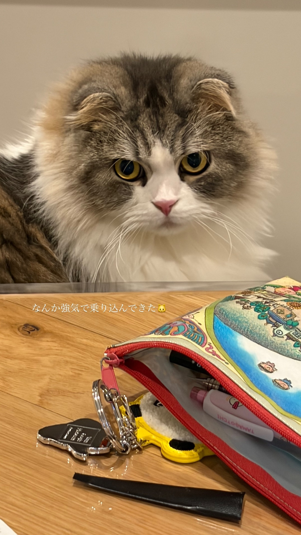 佐々木久美🦒kumigram