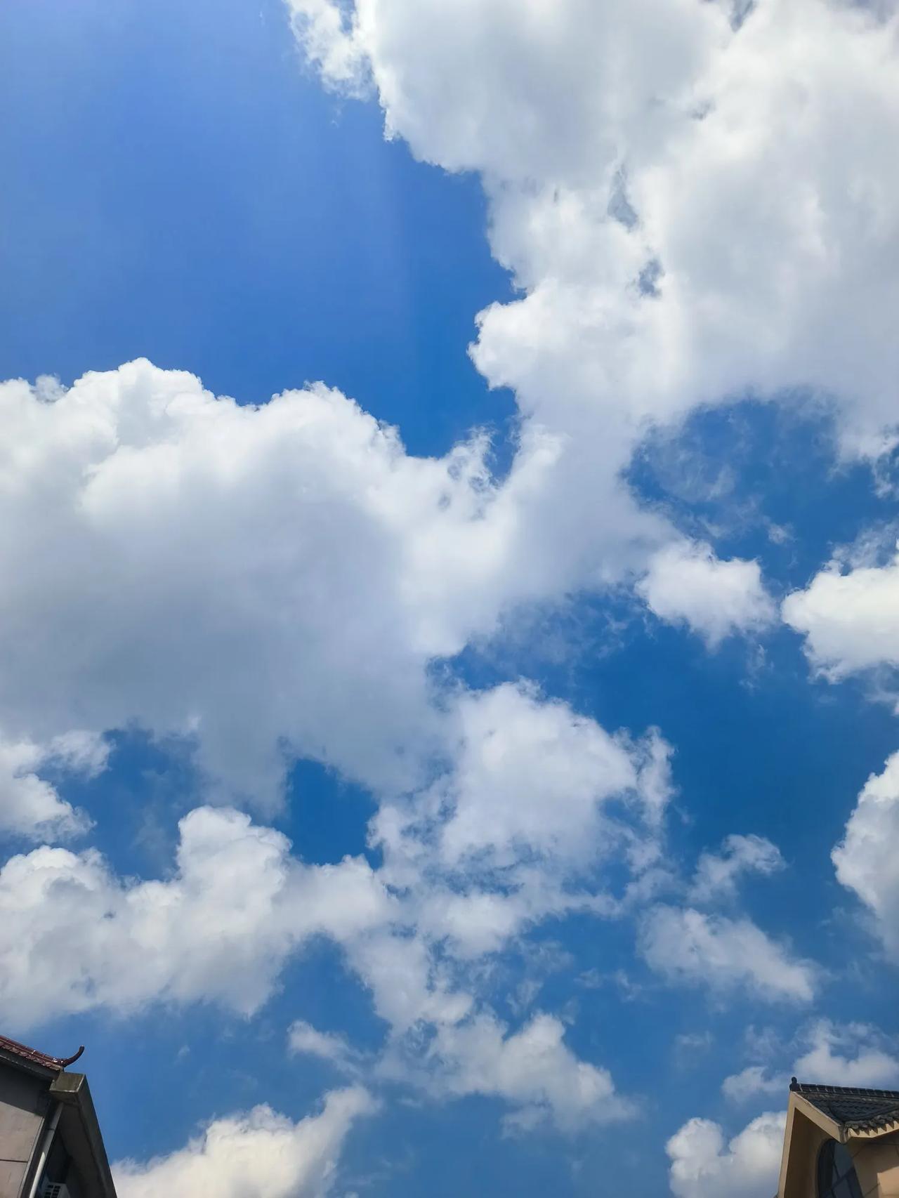 家长为什么热衷于给孩子补课，因为这是一种恐慌心理，看到别的家长给孩子补课，担心自