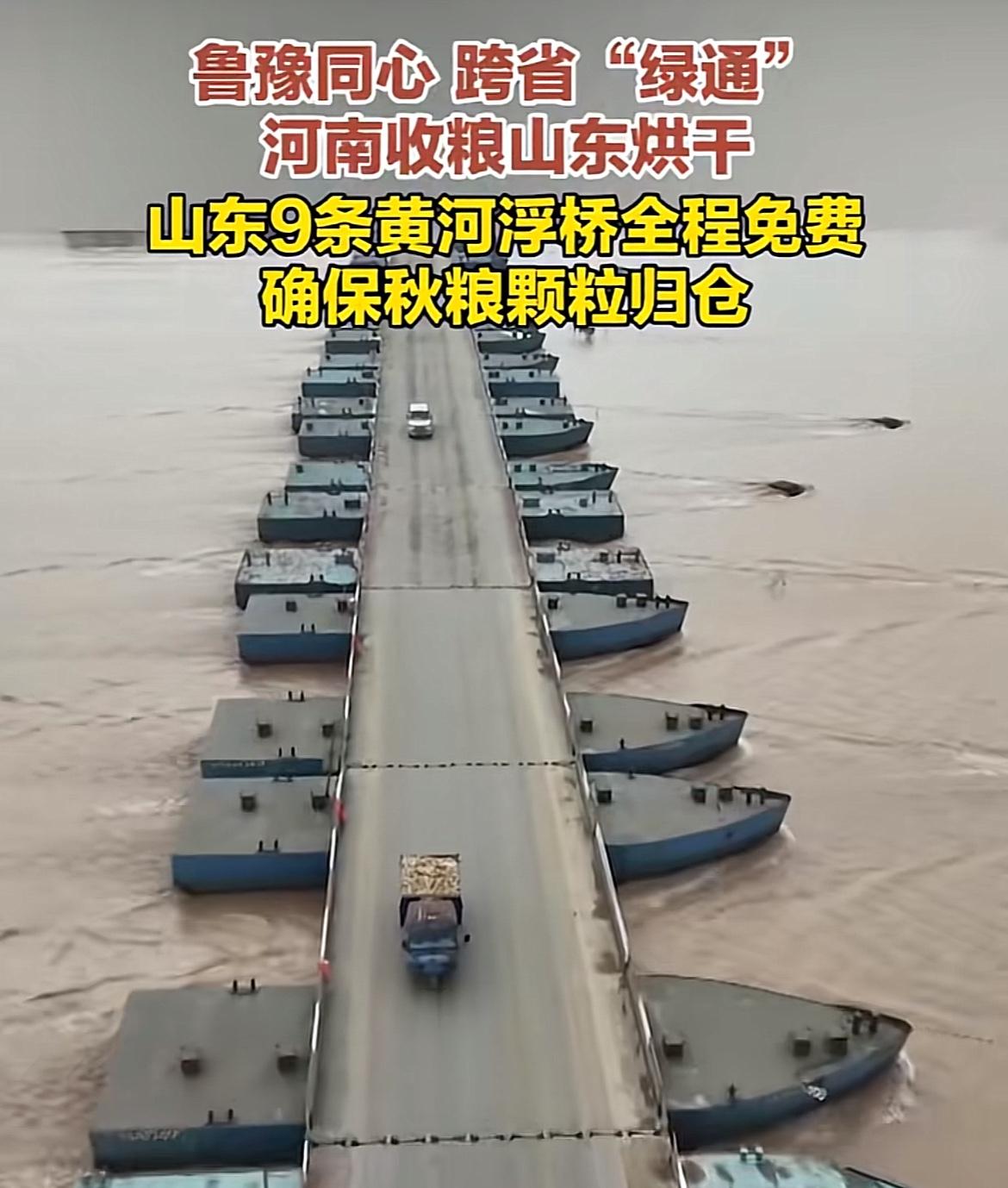 真敞亮！山东郓城，来自河南的种粮大户徐先生，拉着自己家的粮食过来烘干，比在河南找