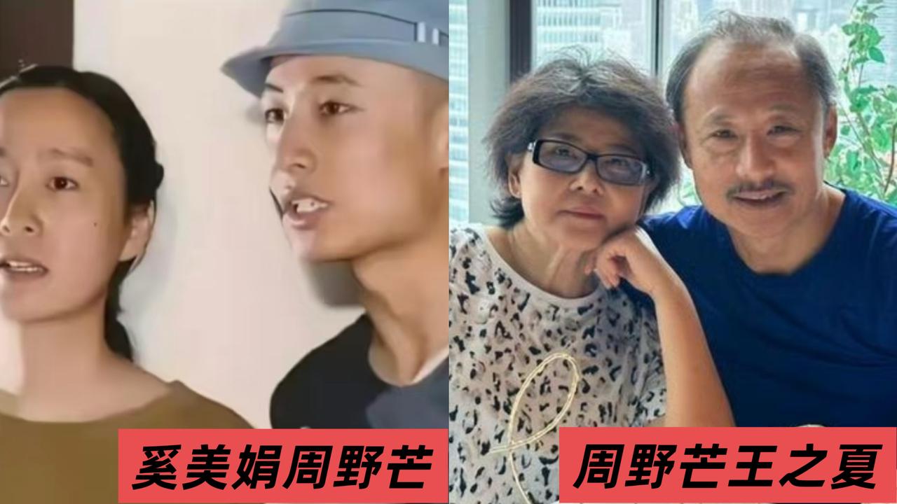 没有人觉得事情很蹊跷吗？周野芒和奚美娟是自由恋爱的，一个29岁一个30