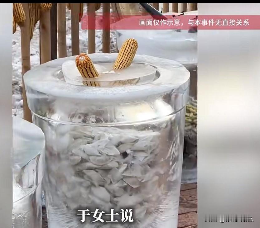 “幸福的烦恼！”吉林长春，女子家备年货宰了三头猪、六七只羊，还有鸡鸭鹅，总共屯了