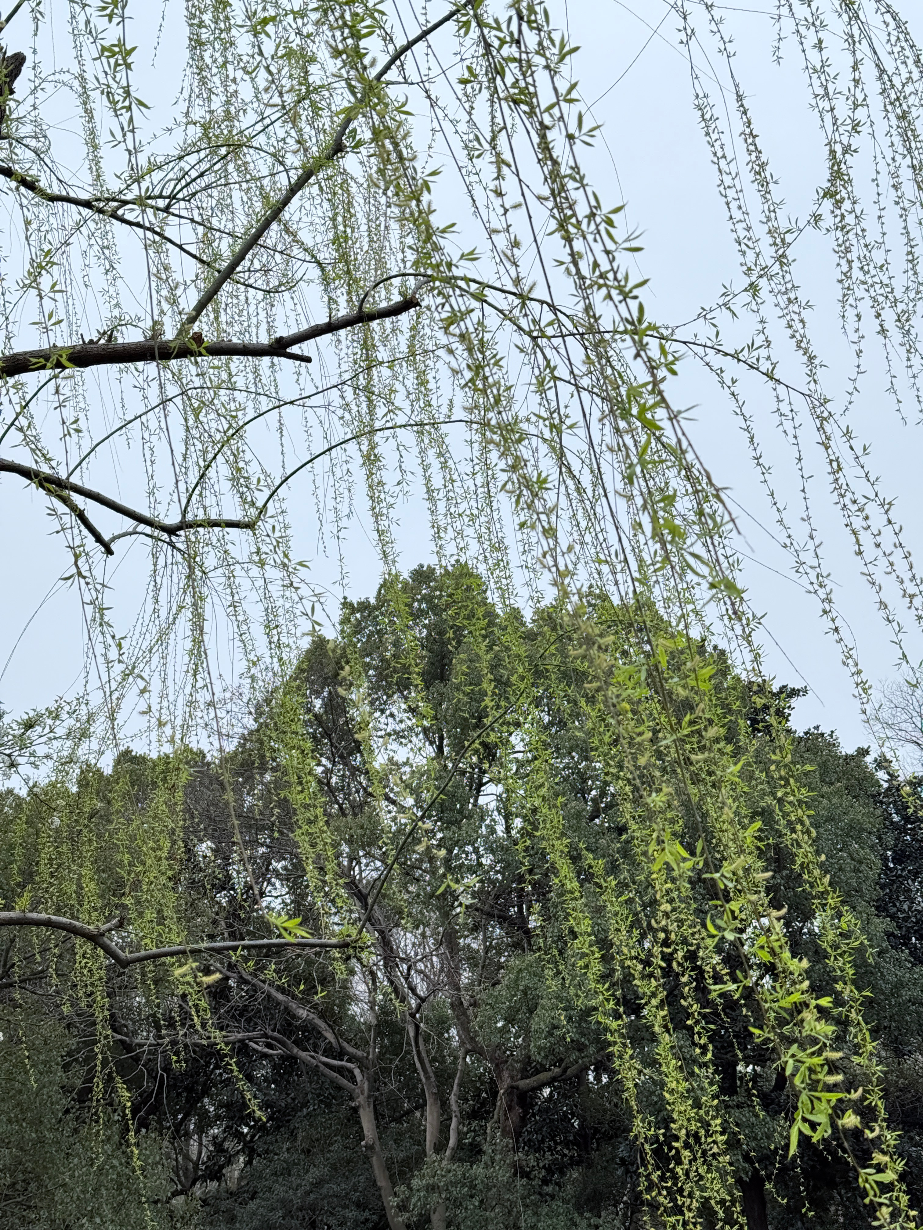 人随春好杭州·桐庐