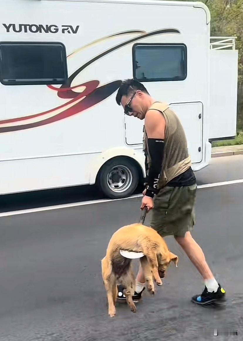 内蒙古巴彦淖尔，一只大狗在公路上被撞身亡，夫妻路过好心将其掩埋，随后意外发现自己