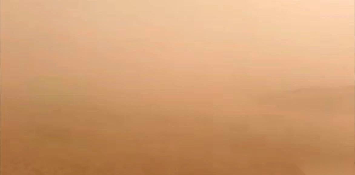 很多人都不知道，内蒙古那道挡住沙尘暴的绿墙，背后是什么。那边种了一种草，叫蒿草