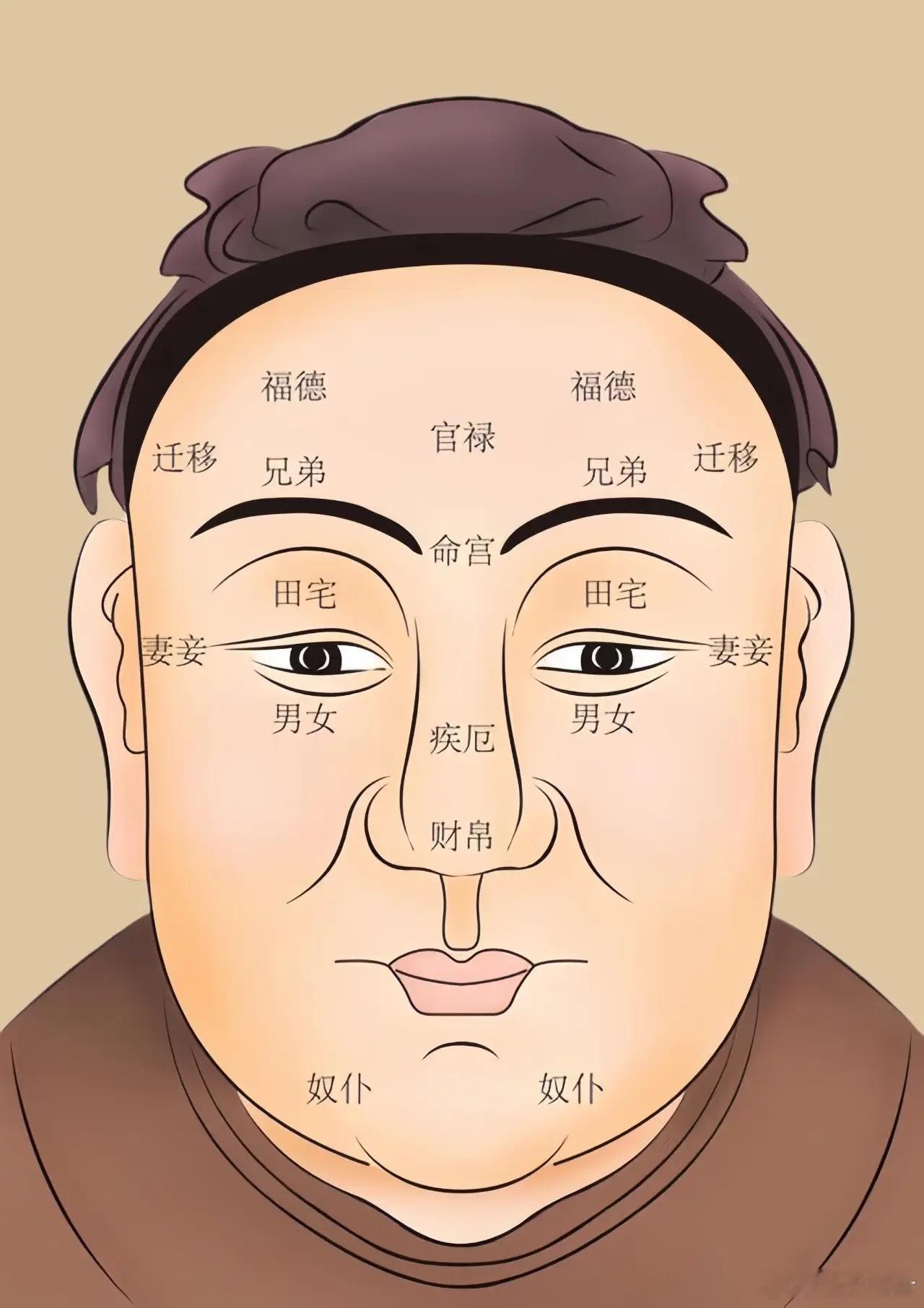 易跟旧人联系的;鼻头有肉，鼻翼饱满，但鼻梁不够高挺。这样的人重感情，鼻梁不够高挺