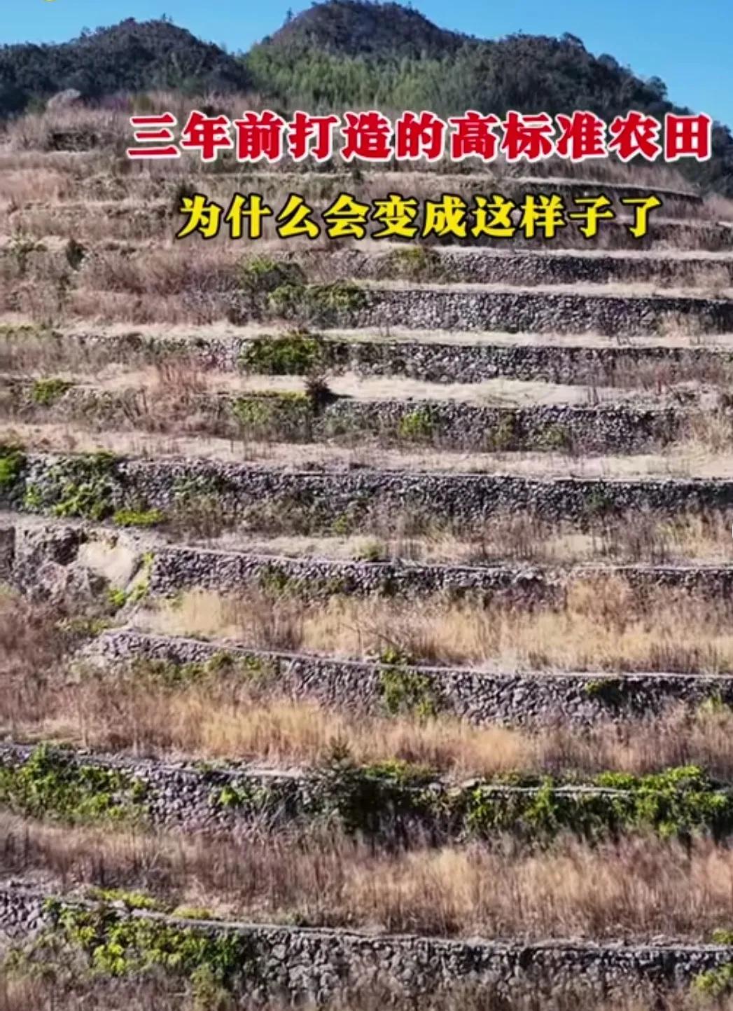 建设高标准农田，让水稻上山。三年过去，当地的造田计划完成了，工程队的工程款到手