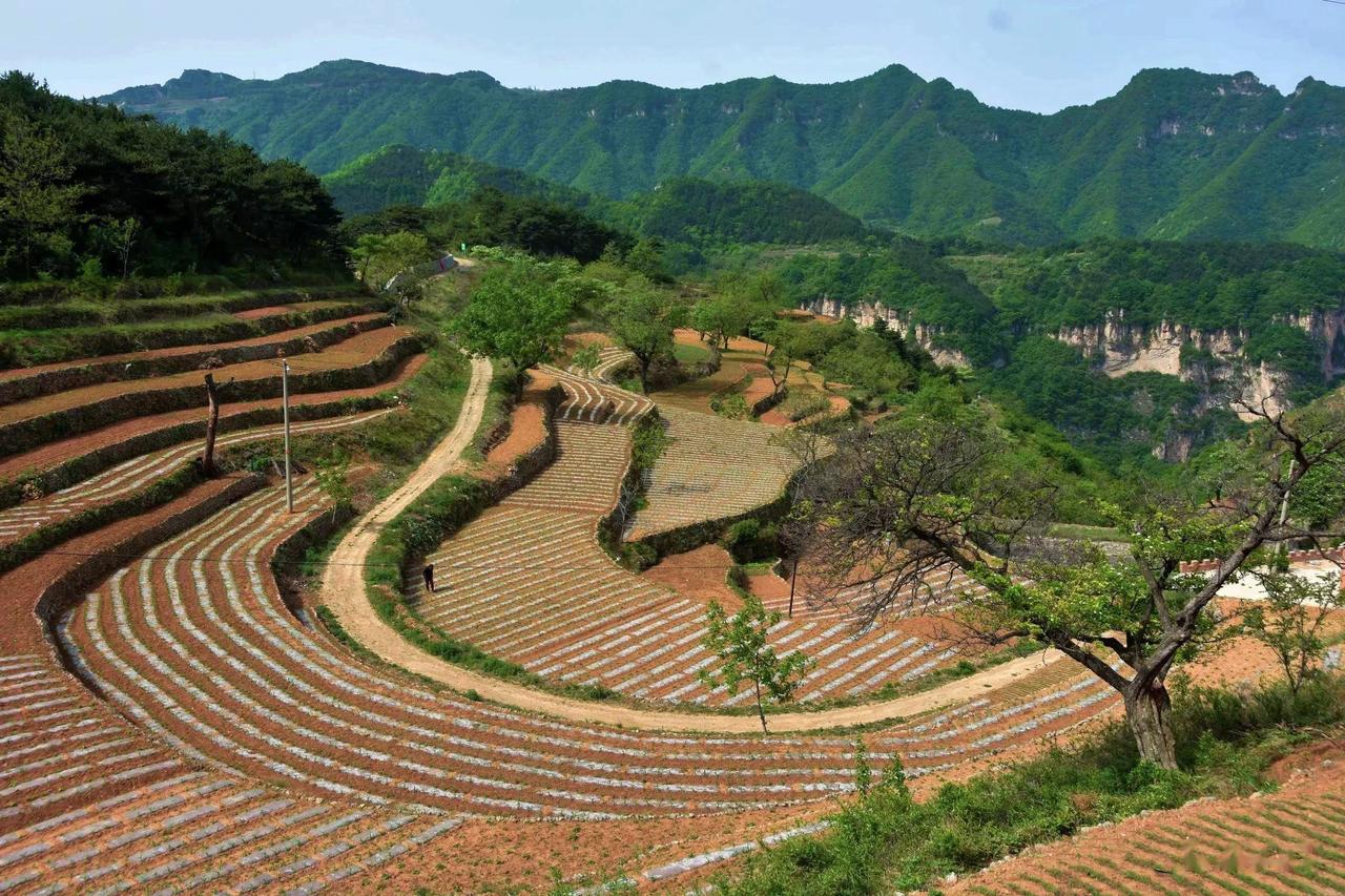 在太行山深处，藏着一个鲜为人知的小山村——王金庄。奇峻的山峦、壮阔的云海，搭配层