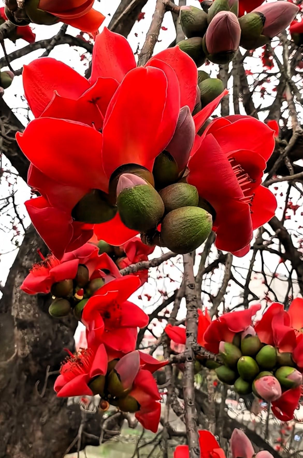 一段令人深思的话：“一个家庭，只要把老人供在最高的位置上，不好意思，这个家庭一定