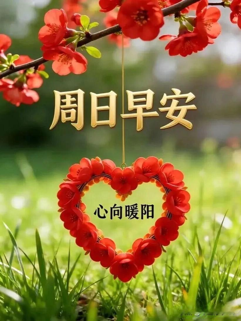晨风送暖，朝霞满天，一声问候，一份牵念。朋友们，周日快乐！清新的早晨，送上