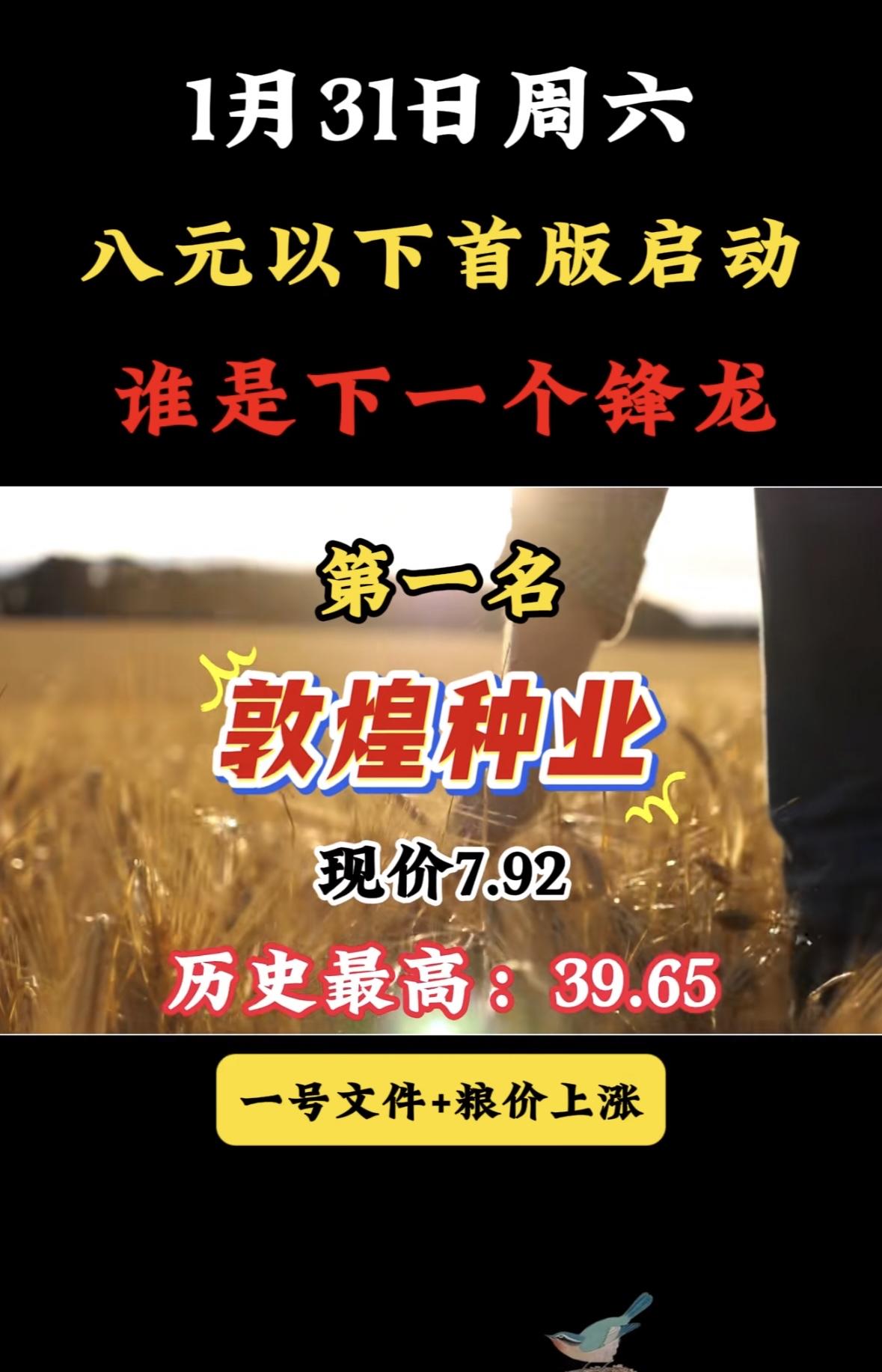 1月31日8元以下首板启动个股梳理兄弟科技现价7.44，谁会是下一个黑马？