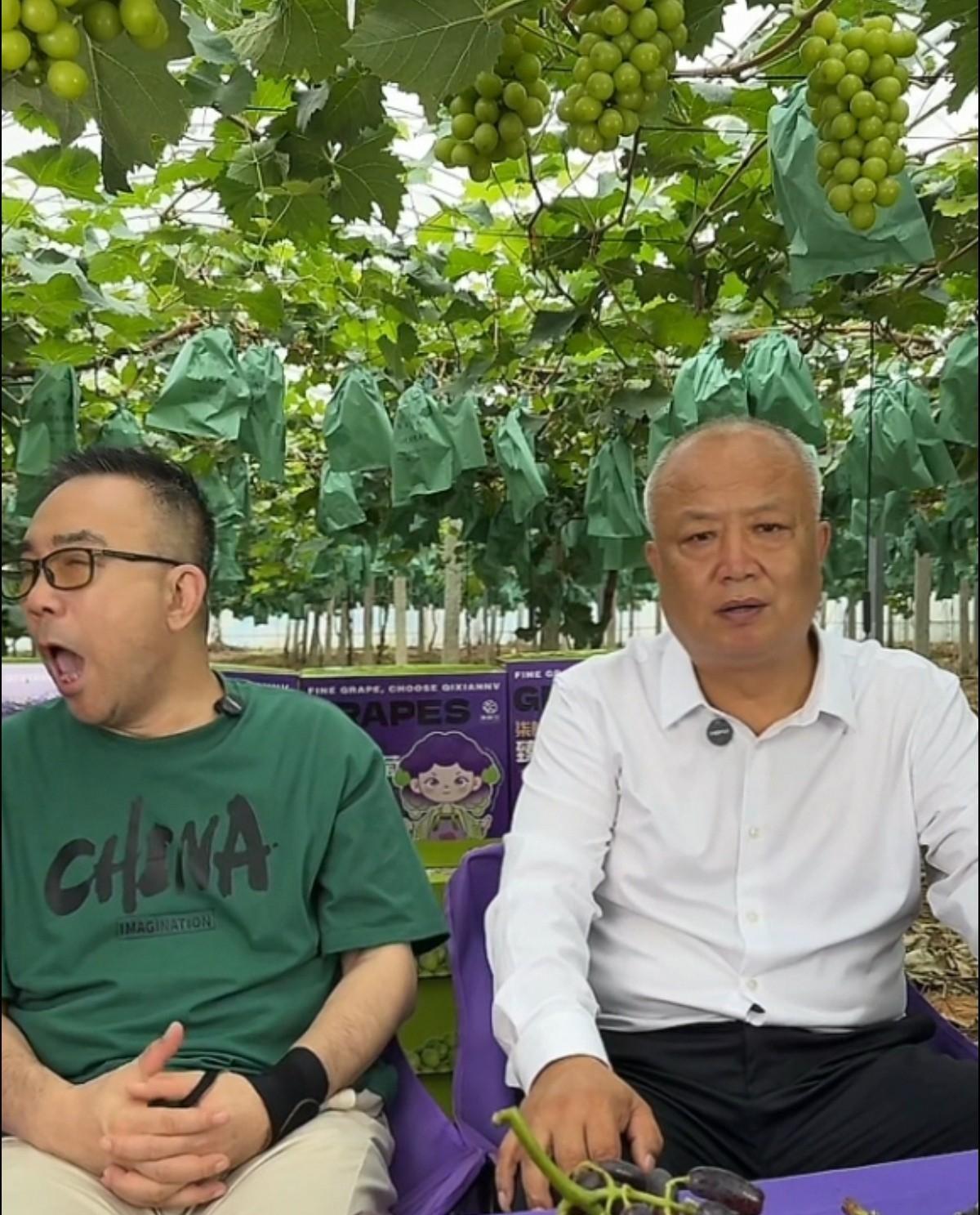 #秋日生活打卡季#杨议，太敬业了，哈欠连天，还得直播带货。杨议，一般情况下都是